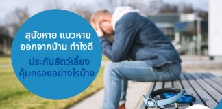 สุนัขหาย แมวหายออกจากบ้าน ทำไงดี ประกันสัตว์เลี้ยง คุ้มครองอย่างไรบ้าง