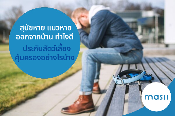 สุนัขหาย แมวหายออกจากบ้าน ทำไงดี ประกันสัตว์เลี้ยง คุ้มครองอย่างไรบ้าง สุนัขหาย แมวหายออกจากบ้าน ทำไงดี ประกันสัตว์เลี้ยง คุ้มครองอย่างไรบ้าง