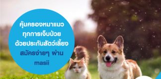 คุ้มครองหมาแมวทุกการเจ็บป่วย ด้วยประกันสัตว์เลี้ยง สมัครง่ายๆ ผ่าน masii