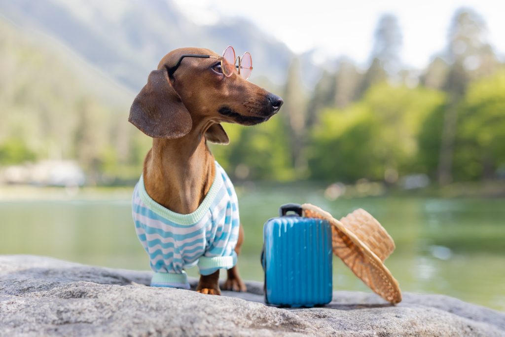 อุปกรณ์เครื่องใช้ส่วนตัว