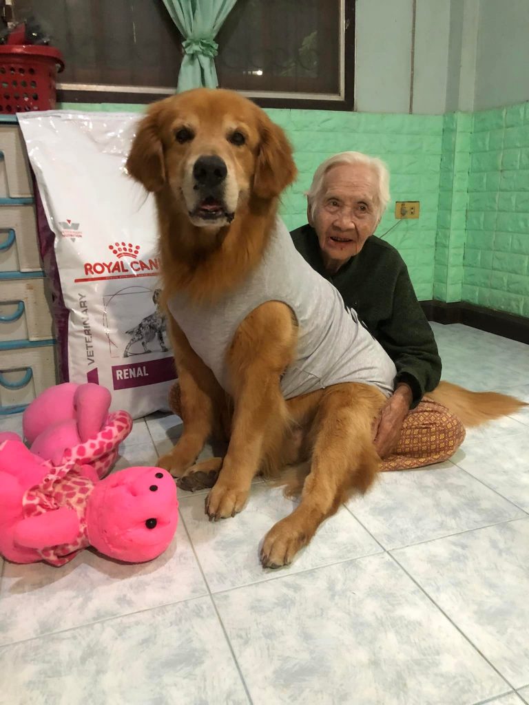 ขอบคุณภาพ : ลีโอ #ไอ้หนูของยาย