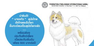 น่ายินดี!  “ บางแก้ว ”  สุนัขไทย ดังไกลระดับโลก ขึ้นทะเบียนเป็นสุนัขโลกแล้ว....พร้อมส่อง ประกันสัตว์เลี้ยง เบี้ยประกันเริ่มต้นเพียง 500 บาทต่อปี
