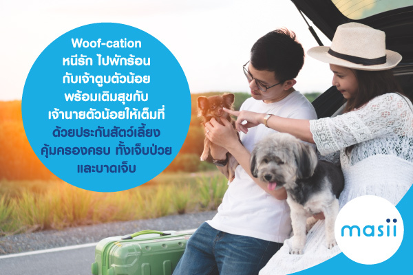 Blog-woofcation-ประกันสัตว์เลี้ยง