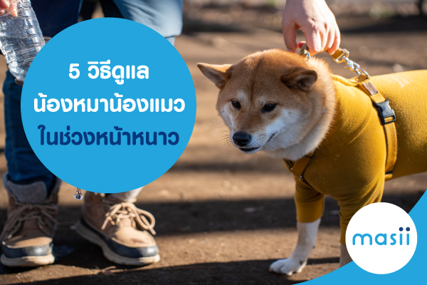 5 วิธีดูแลน้องหมาน้องแมว ในช่วงหน้าหนาว 5 วิธีดูแลน้องหมาน้องแมว ในช่วงหน้าหนาว