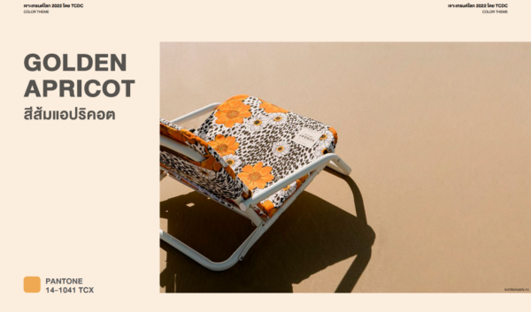 อัปเดต! 7 เทรนด์สีปี 2023 สำรวจเทรนด์สีแห่งปีที่มาแรง มีสีอะไรบ้าง