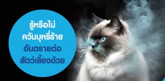 สัตว์เลี้ยง