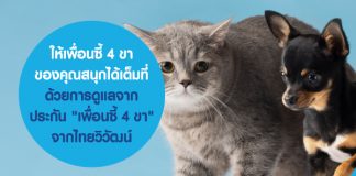 ให้เพื่อนซี้ 4 ขา ของคุณสนุกได้เต็มที่ ด้วยการดูแลจาก ประกัน "เพื่อนซี้ 4 ขา" จากไทยวิวัฒน์