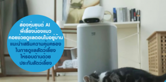 หุ่นยนต์เลี้ยงแมว