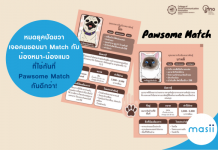Pawsome Match