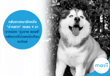 ข้าวสาก