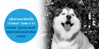 ข้าวสาก